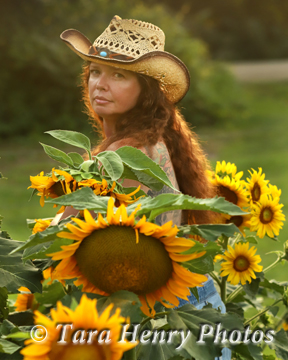 Barb Sunflowers 2