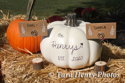 Henrys
